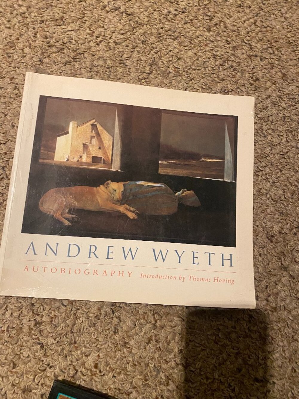 Andrew Wyeth biography (softcover)